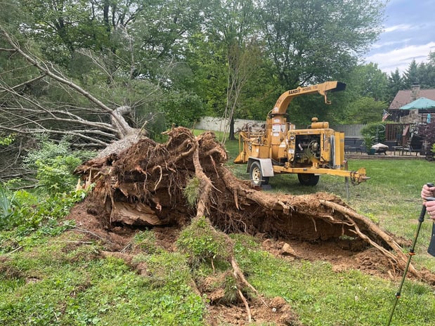 Images Victory One Tree Service & Stump Grinding