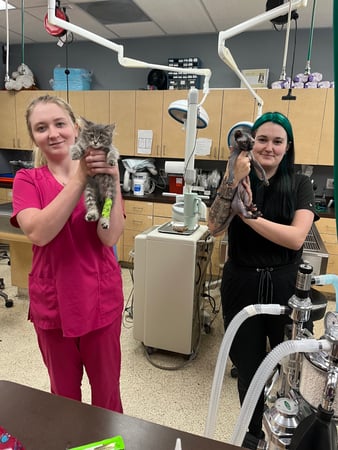 Images VCA All Pet Animal Hospital/Taylorsville