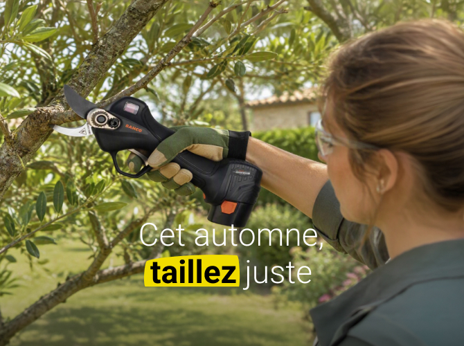 Préparez votre jardin avec la taille d’automne