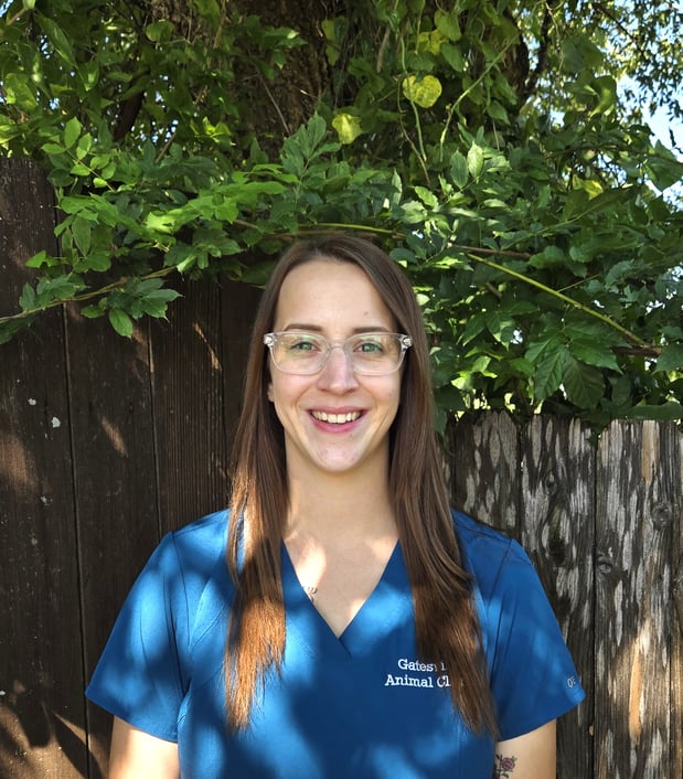 Images Gatesville Animal Clinic, LLC