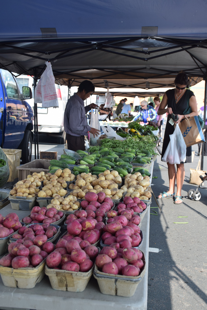At the Maple Grove Farmers Market, our vendors are truly dedicated to providing the most natural, tastiest, and fresh produce possible. Their produce is harvested 12-24 hours before being presented to customers, guaranteeing the freshest produce possible.