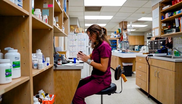 Images Floral Parkway Animal Hospital