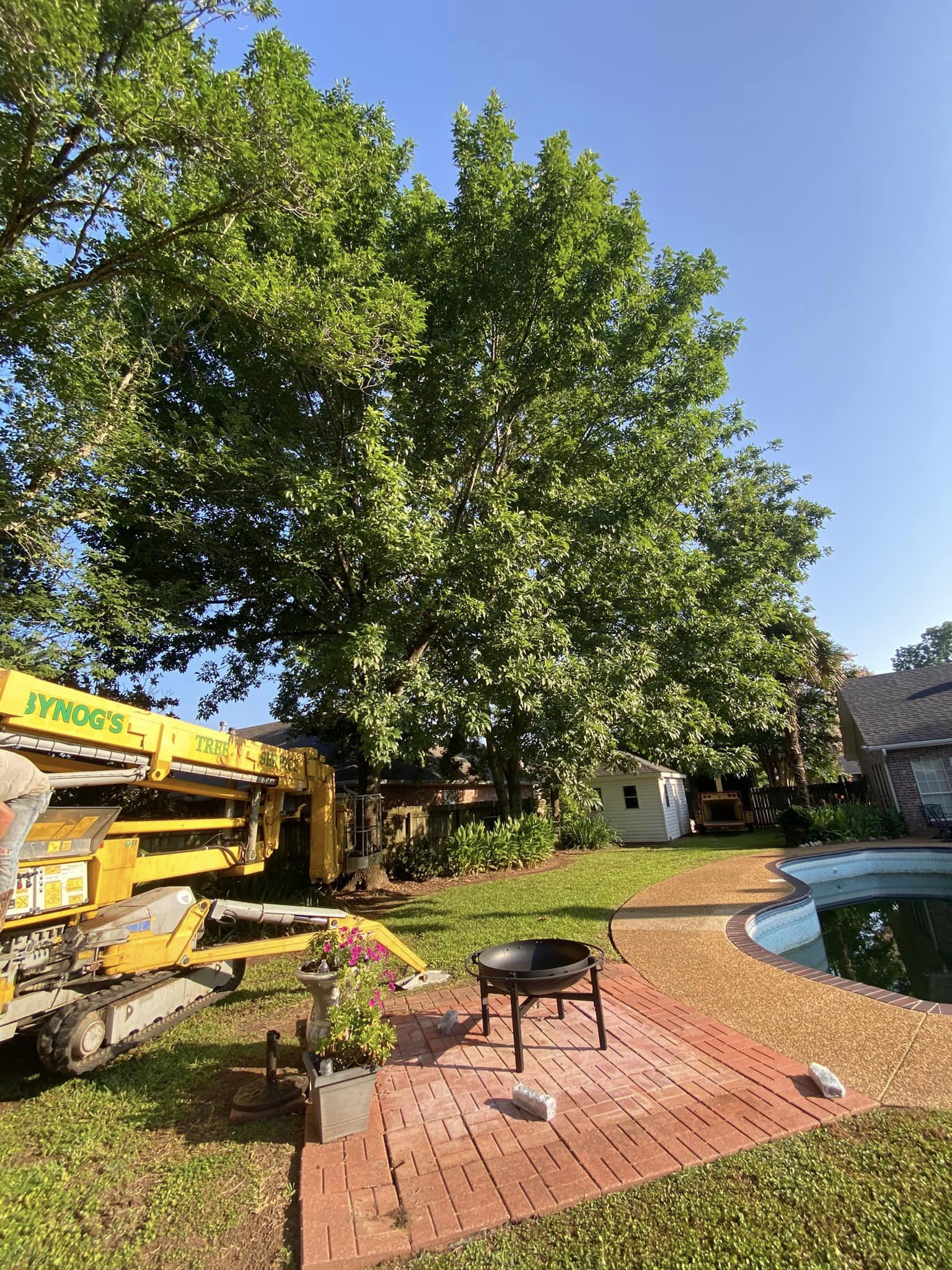 Bynog's Tree Services Image