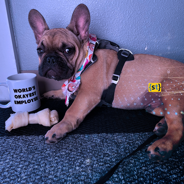 Images Systech Consulting