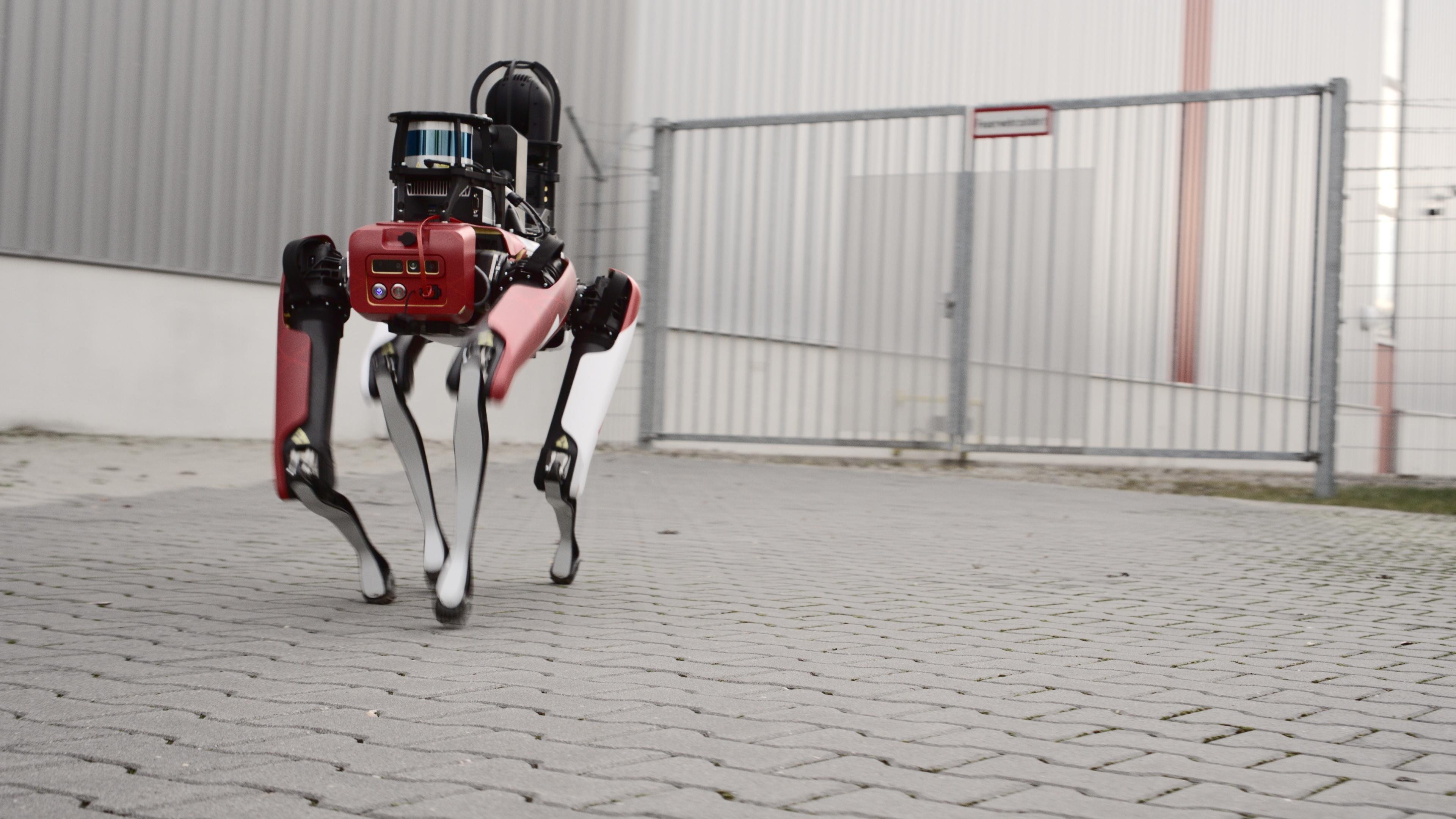 CIBORIUS Security & Service Solutions Berlin GmbH, Wartenberger Straße 24 in Berlin