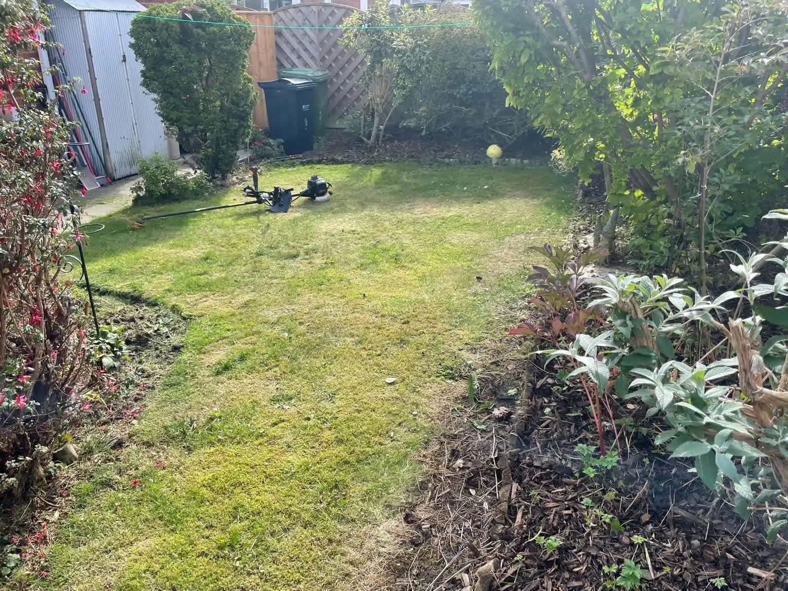 Images PG Garden Maintenance