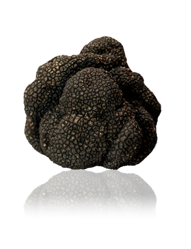 Images Ristorante Casa Selektia