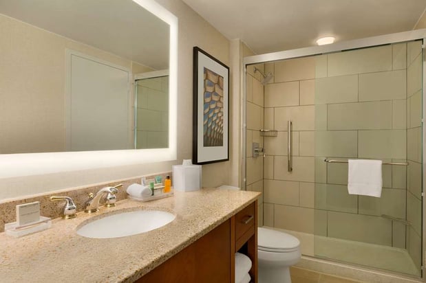 Images Hilton Chicago/Magnificent Mile Suites