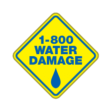 1-800 WATER DAMAGE of Greater Toledo Logo