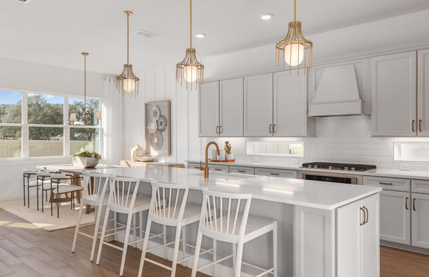 Images Vida's Way by Pulte Homes