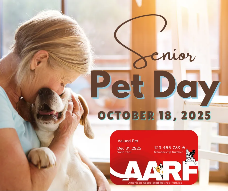 Image of Local Pet Event Senior Pet Day with Albert's Dog Lounge in MUKWONAGO! Nearby