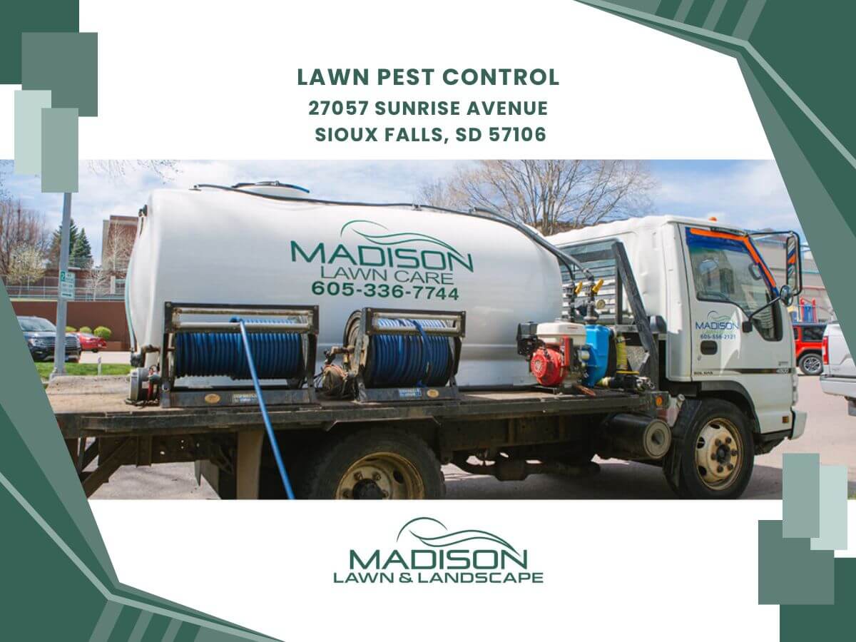 lawn pest control
