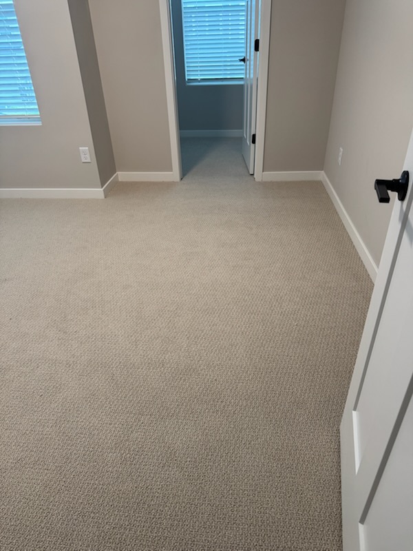 Images Zam EP Carpet and Flooring