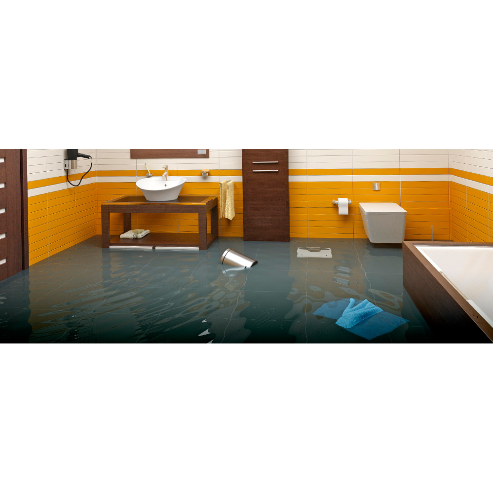 Pro Restoration Solutions LLC