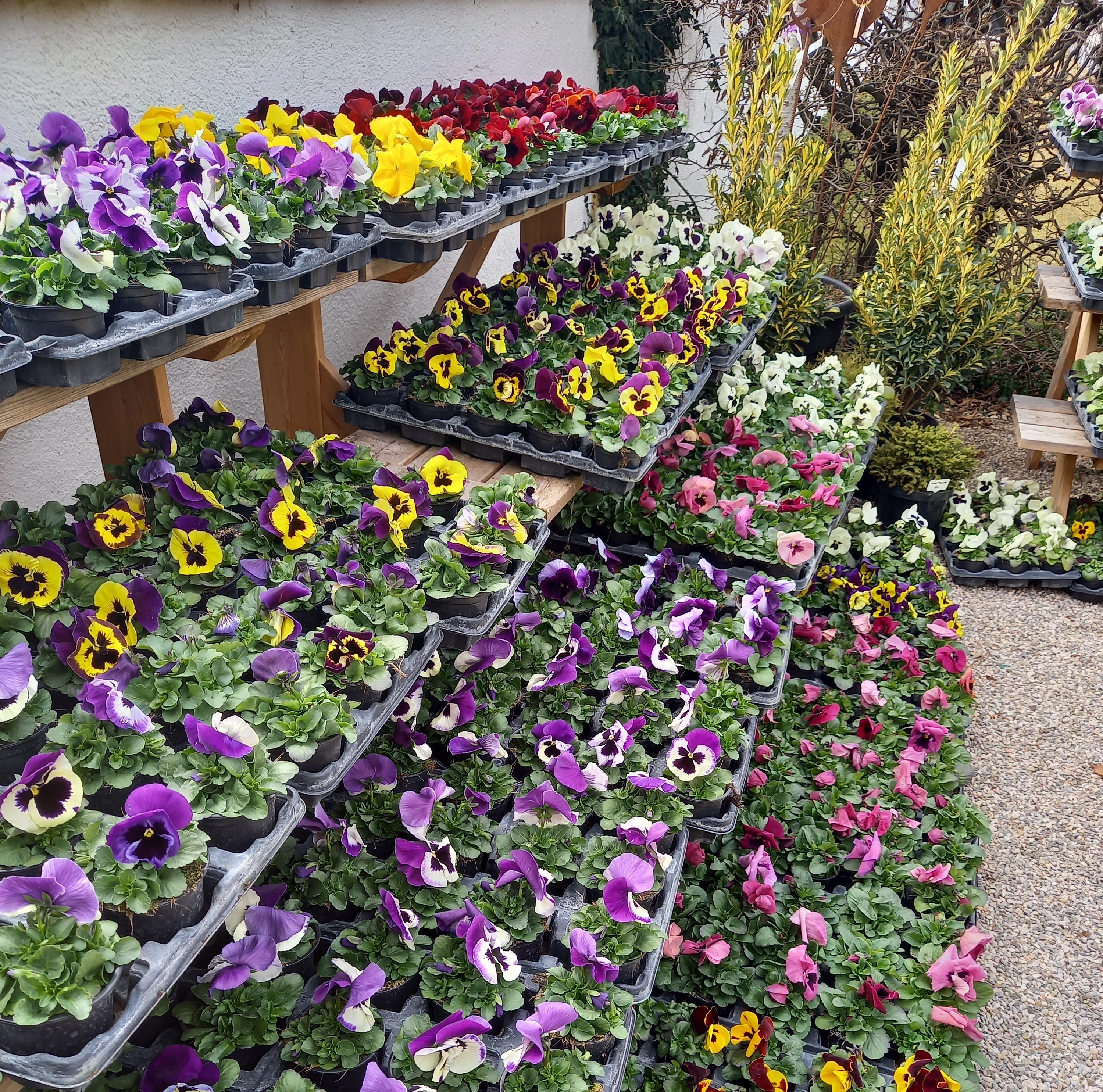 Bild 35 von Grün-Zone