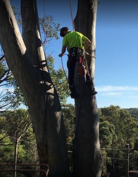 Images Horizon Total Tree Service