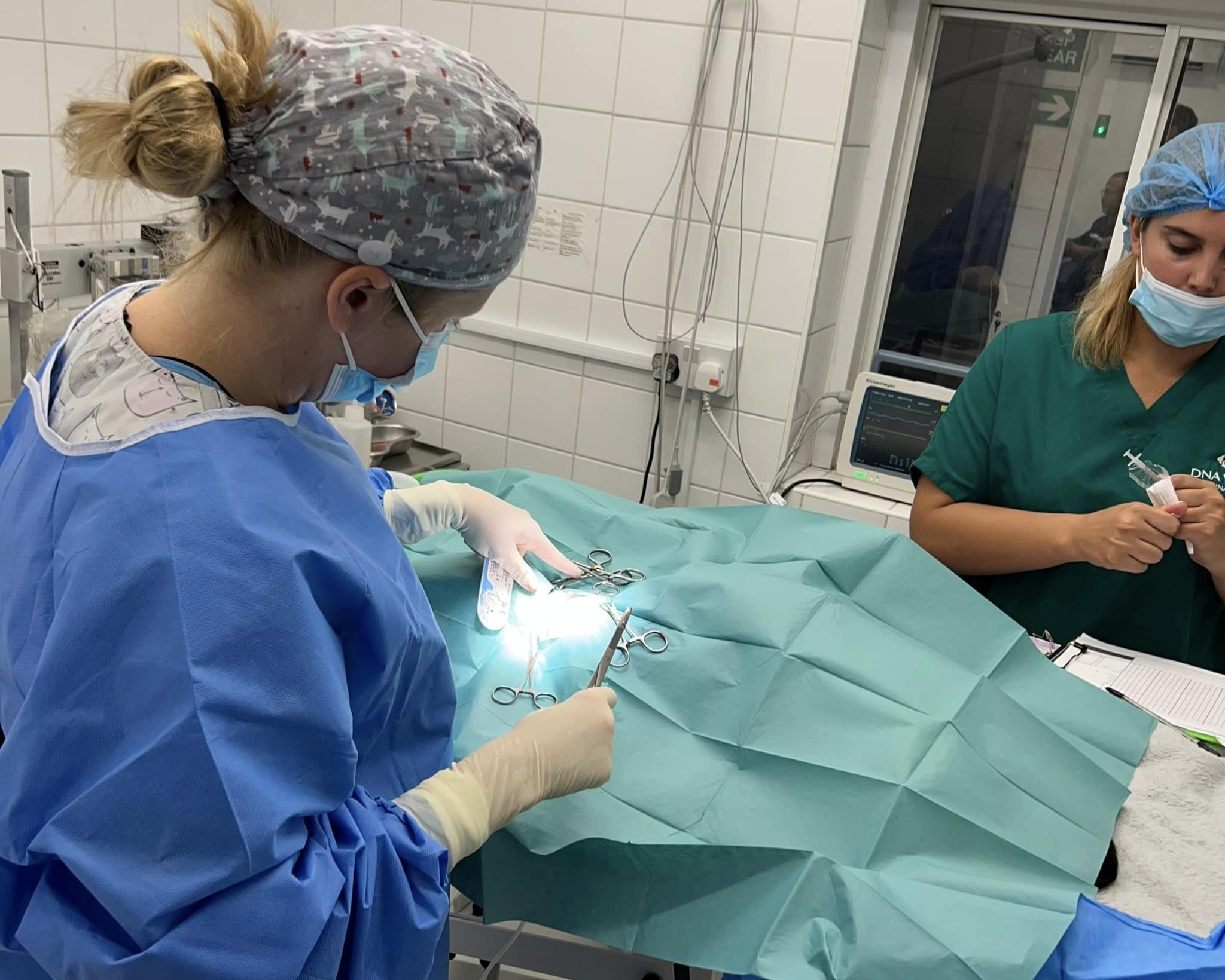 Images Streatham Hill Veterinary Surgery