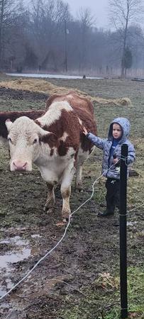 Images Debbie Allen - State Farm Insurance Agent