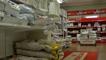 Images Karlskrona Djurklinik