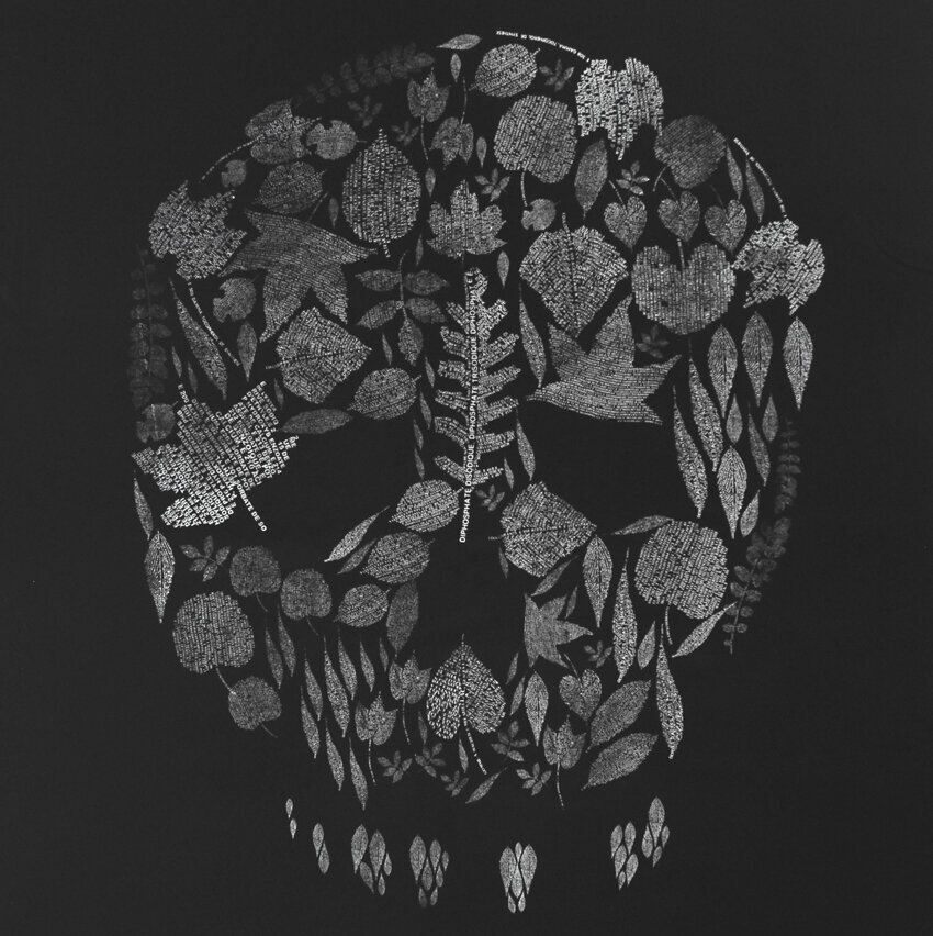 Images Celine Charpentier art plastique