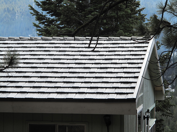 Images True Green Roofing Solutions