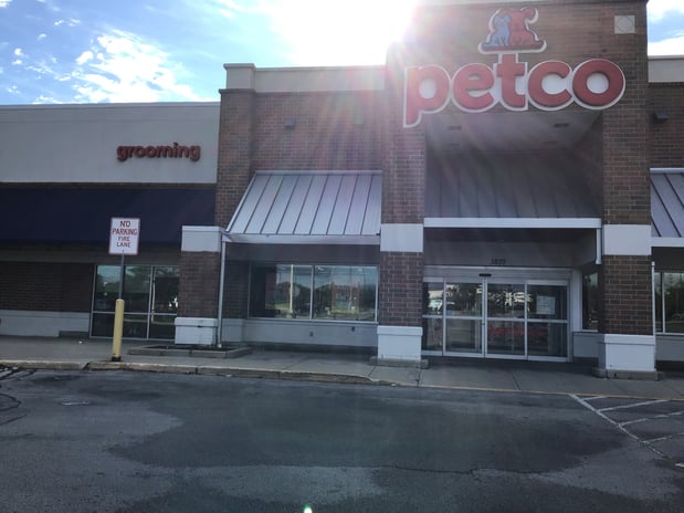 Images Petco Grooming
