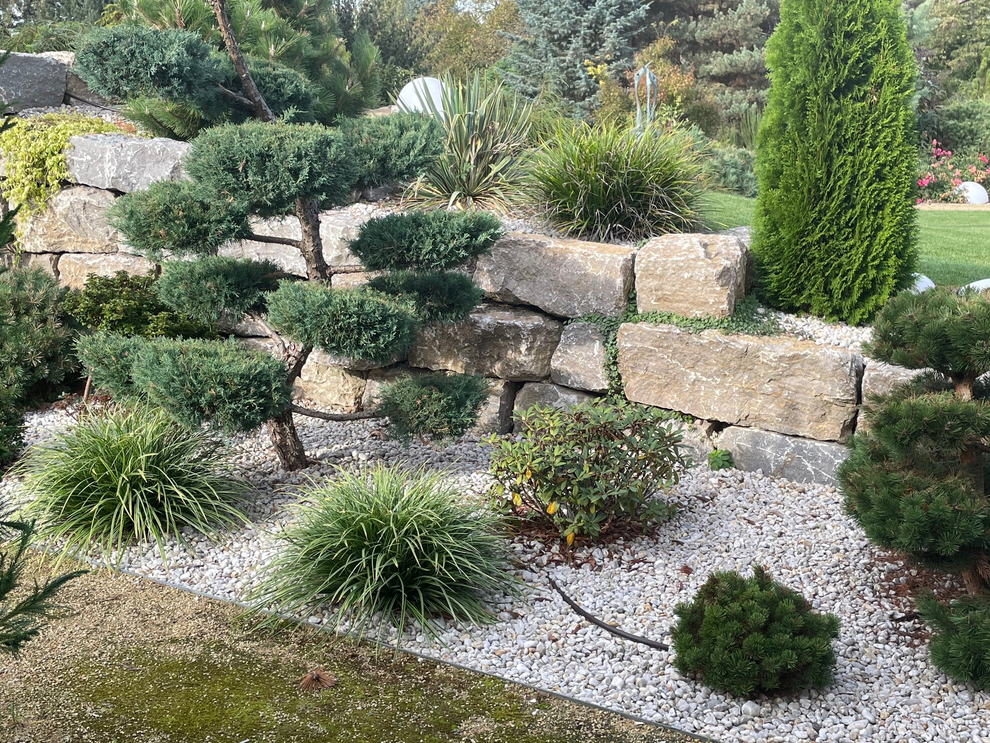 Haedi-Flor Gartengestaltung, Zur Kotzschbarhöhe 21 in Zwenkau