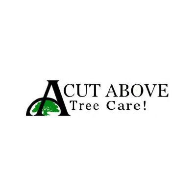A Cut Above Tree Service LLC