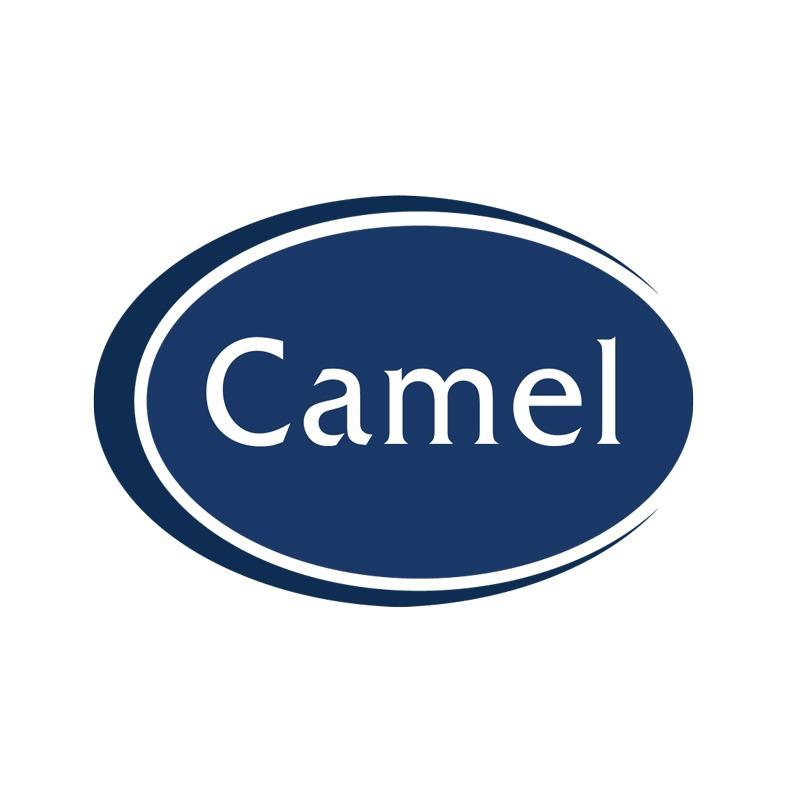 Camel Glass & Joinery Ltd - Barnstaple Logo