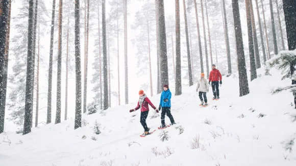 Images Forssan Matkatoimisto Oy