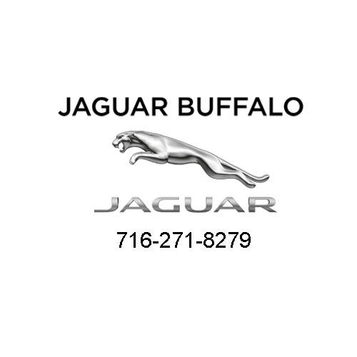 Jaguar Buffalo Logo