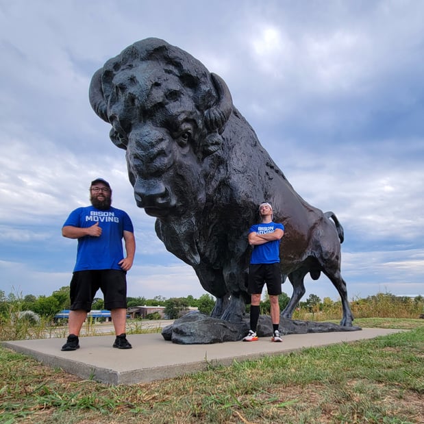 Images Bison Moving Tulsa