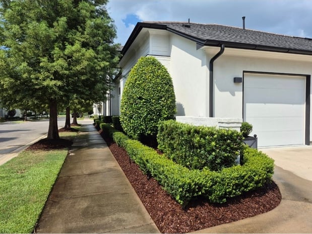 Images Lions Landscaping