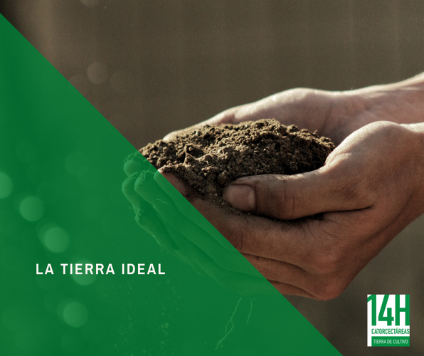 Images Catorcectáreas