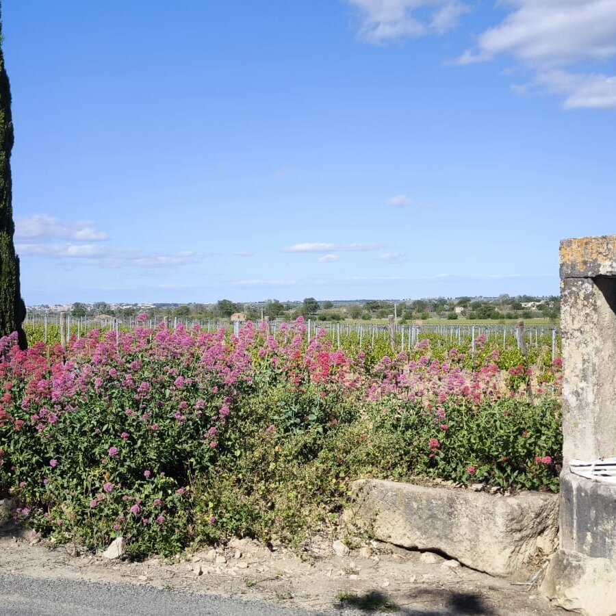 Images Domaine Croix la Pagèze