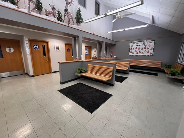 Images VCA Green Animal Hospital