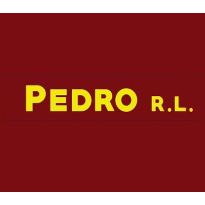 PEDRO R. L. Logo