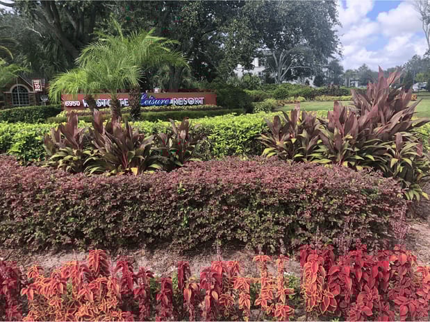 Images Schurlknight Landscaping