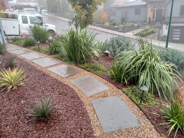 Images Paz Landscape