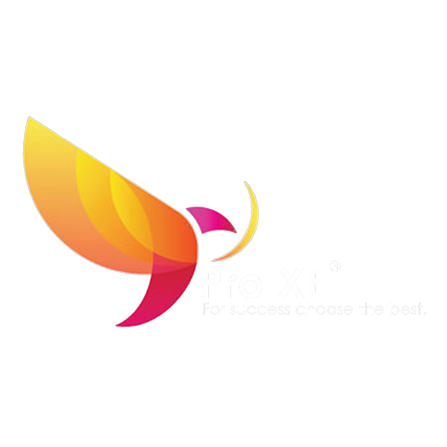 PRO XE - Software de gestión para alojamientos Logo