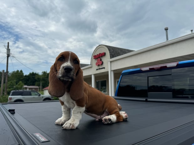 Images Josh Browning - State Farm Insurance Agent