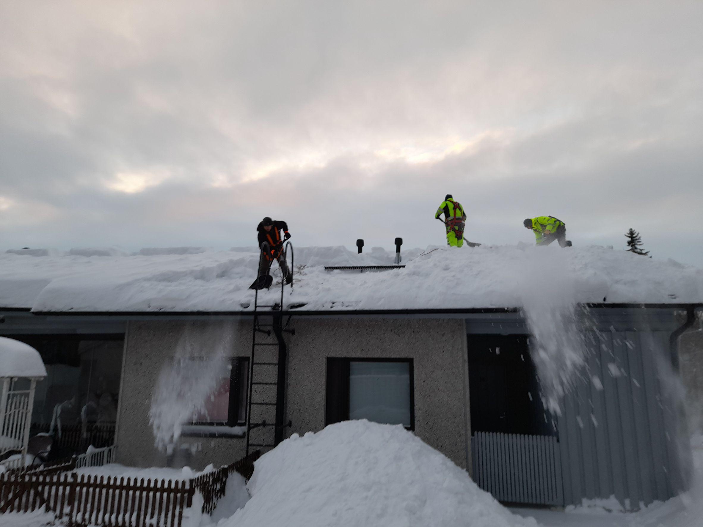 Images Juokseva maalari Oy