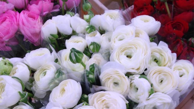 Images Florahallen i Årsta AB