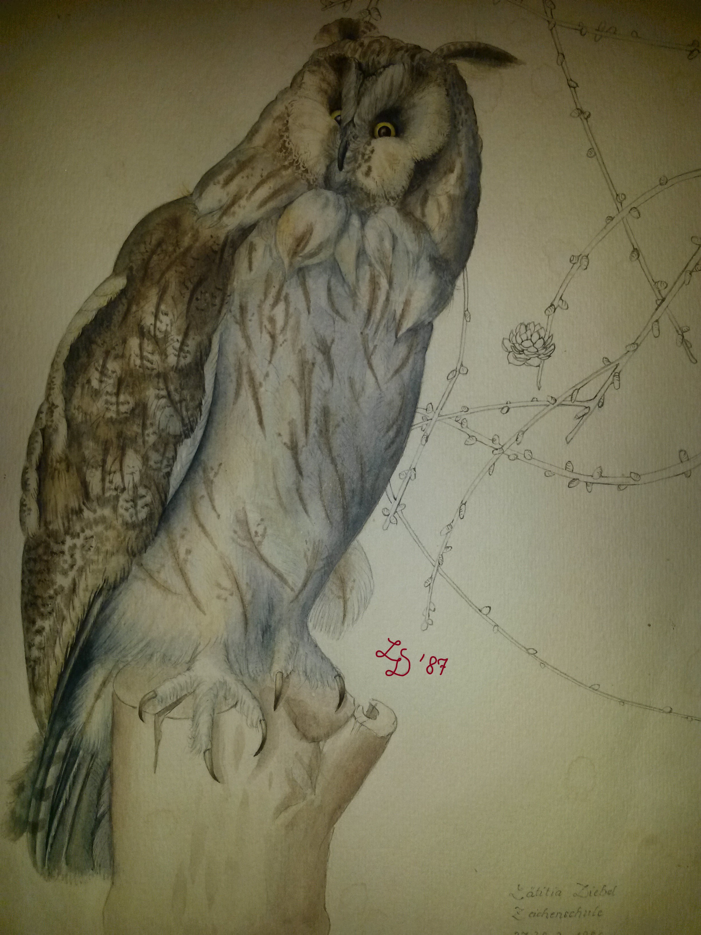 Lätitia Sundermann, Striesener Str. 2 in Dresden