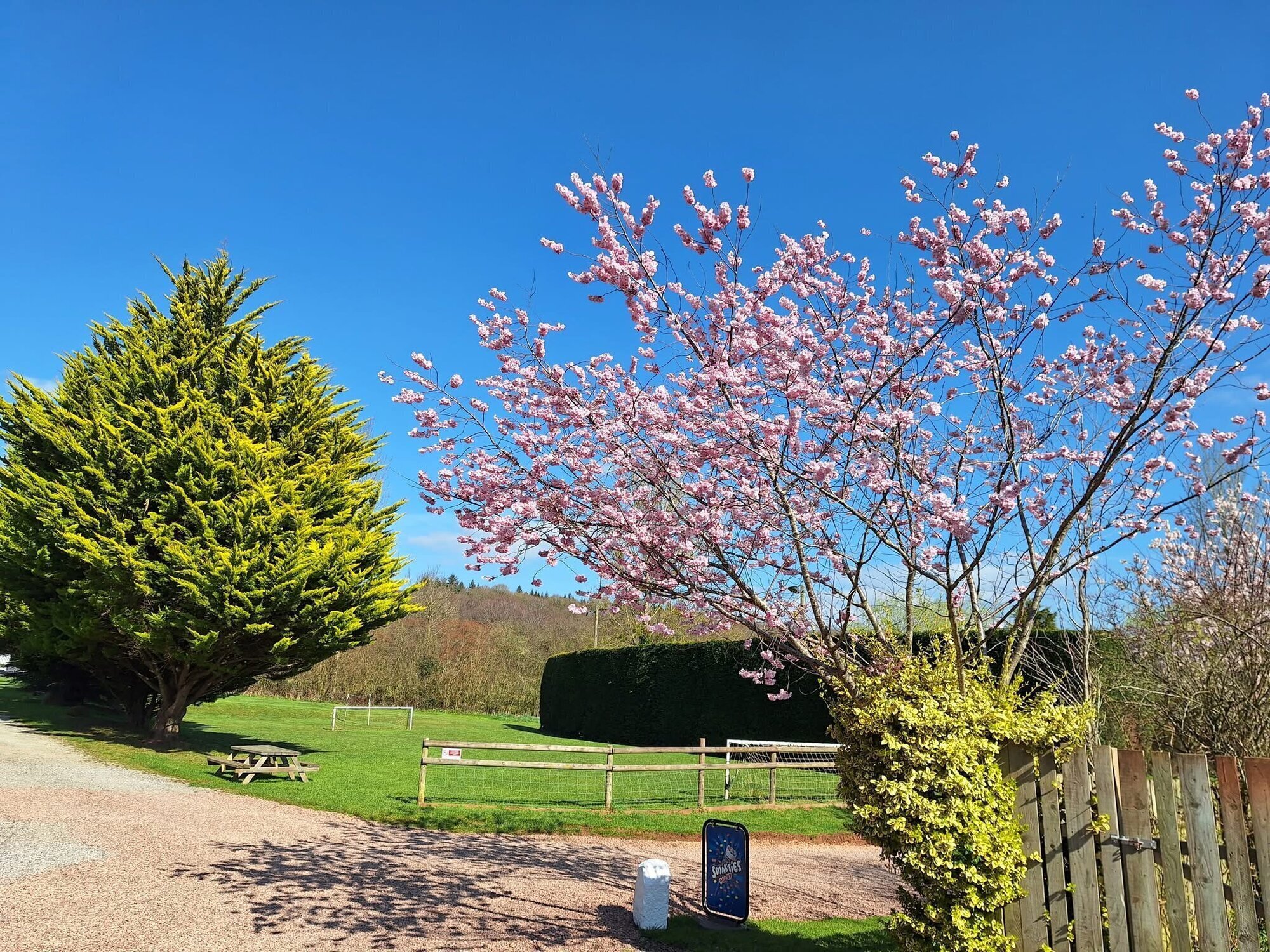 Images Haywood Farm Caravan and Camping Park