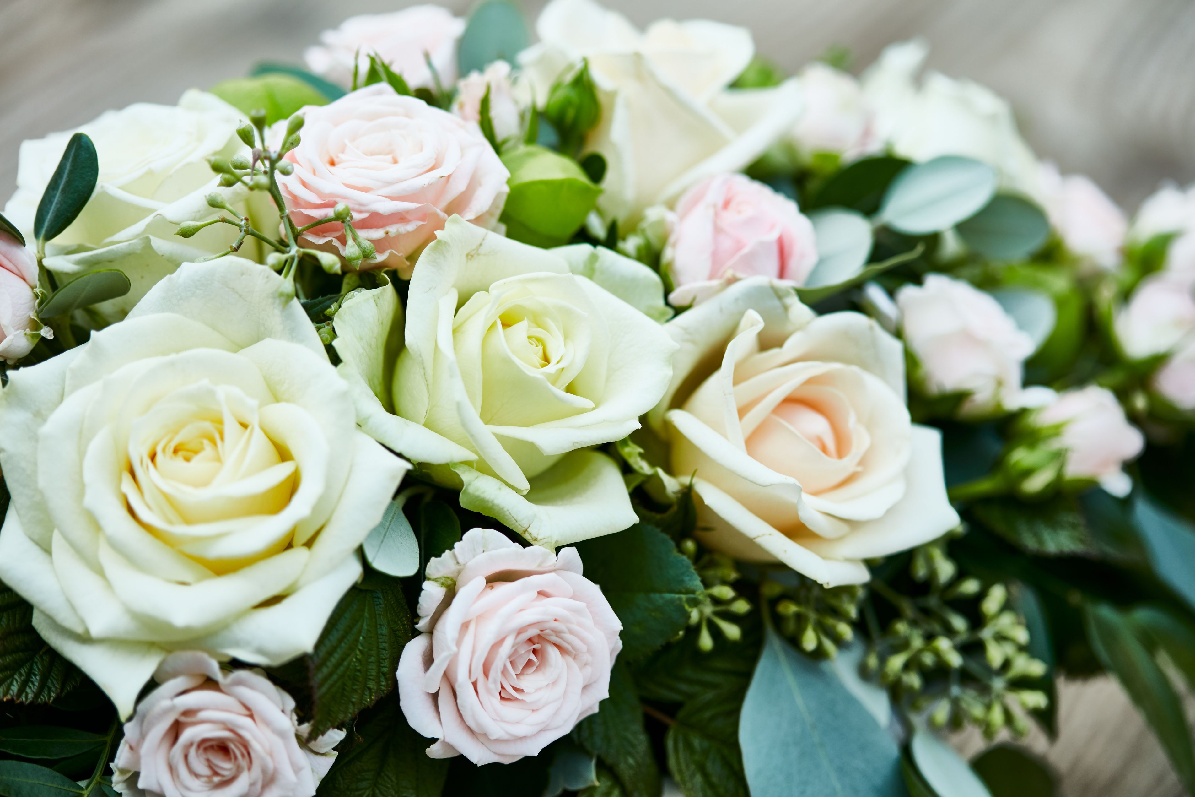 Bilder Gärtnerei Allemann GmbH