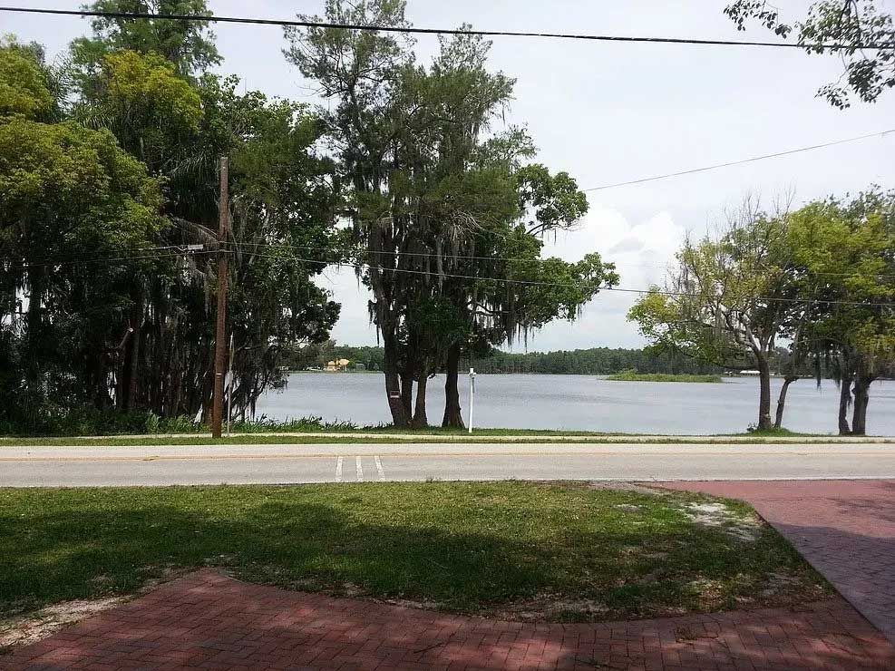 Valid Impressions Tree Service LLC Image