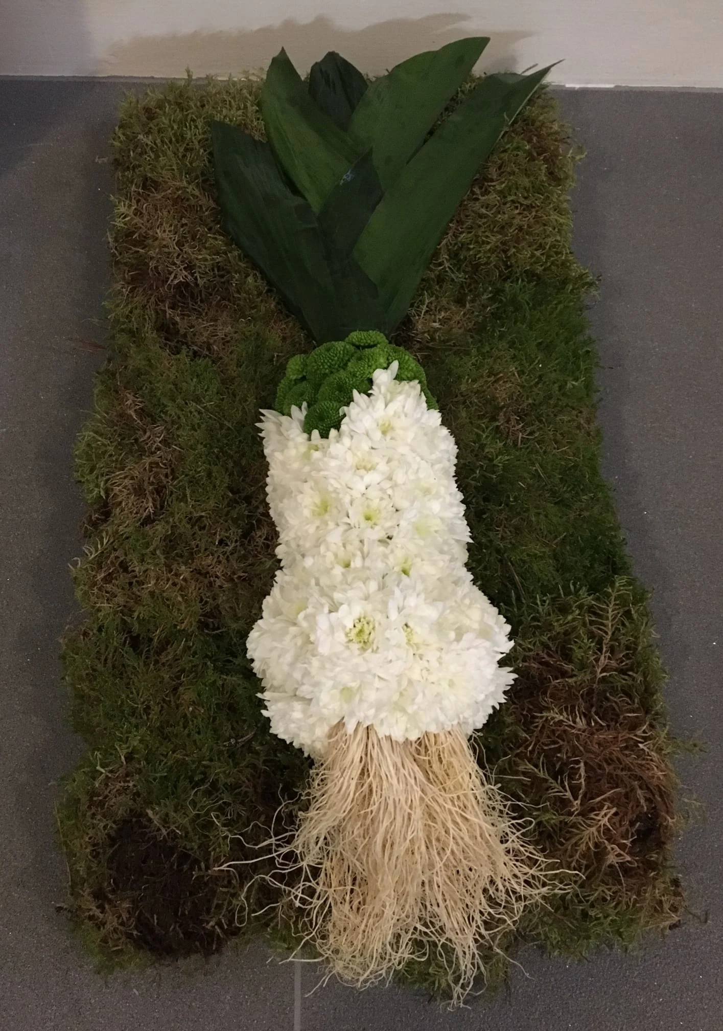 Images Jill Glencross Independent Funeral Director