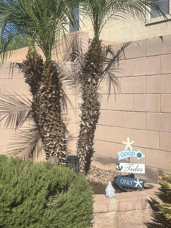 Images EnerCHI Hypnotherapy in Surprise, AZ