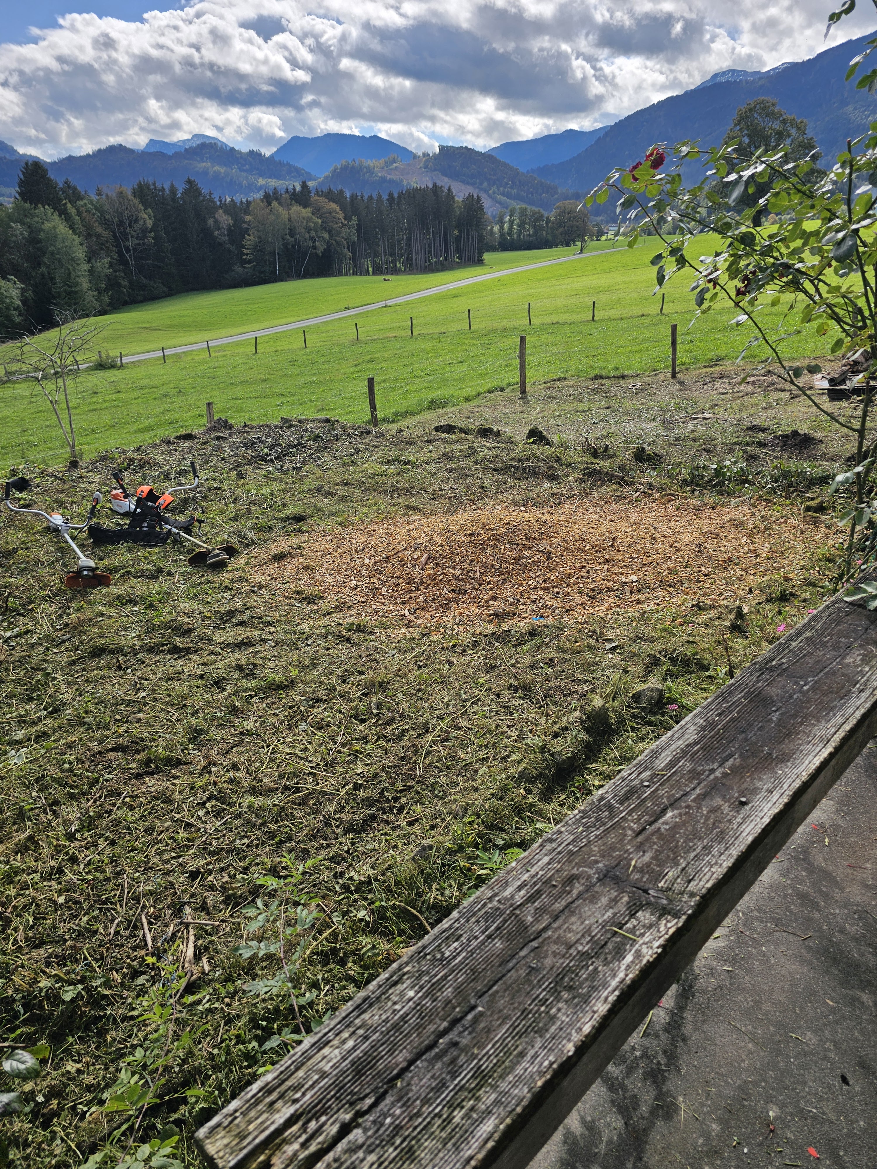 Alles rund ums Haus Garten und Baumpflege, Oberholzham 25 in Bruckmühl